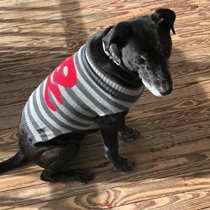 Meet your Posher, Shelly