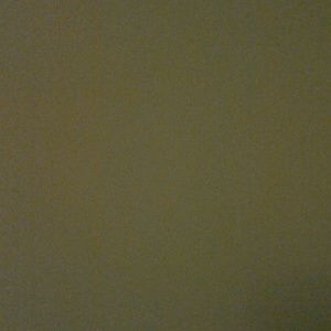 Meet your Posher, Gavin