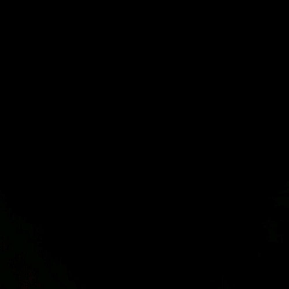 Meet your Posher, Roma