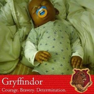 Meet your Posher, Grace