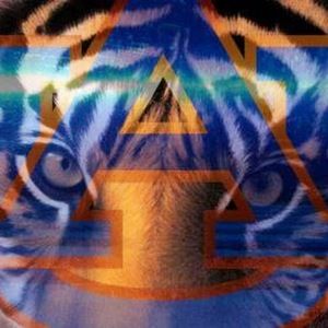 Meet your Posher, Nickie