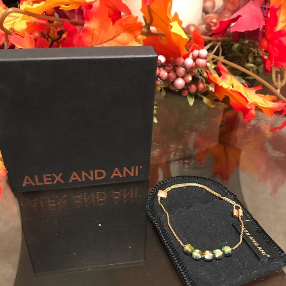 Alex and Ani bracelet - Picture 1 of 2