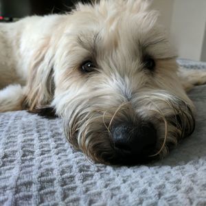 Meet your Posher, Summer