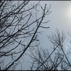 Meet your Posher, Keegan