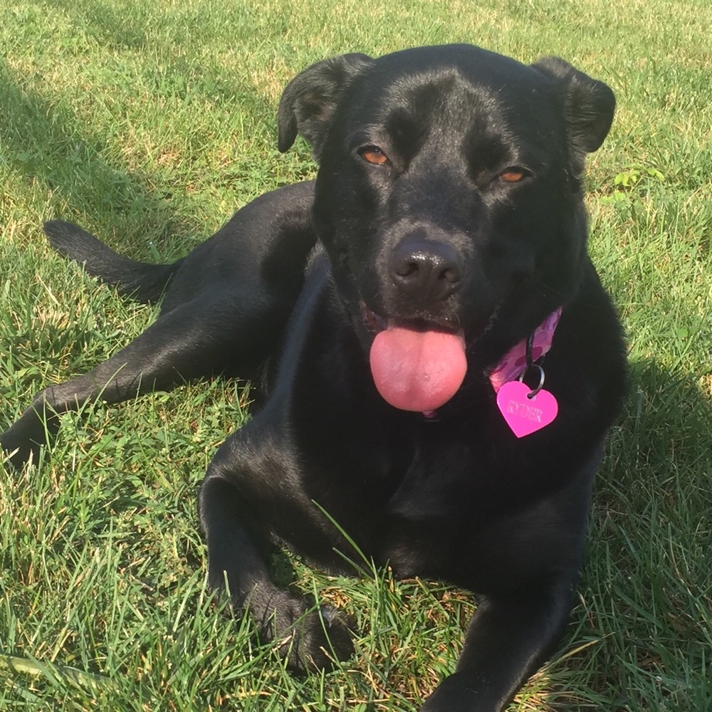 Meet your Posher, Miriam