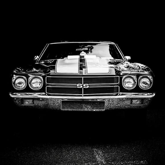 Meet your Posher, Marcus - Picture 1 of 1