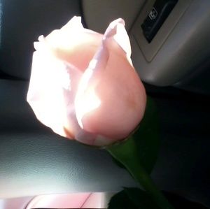 Meet your Posher, Breann