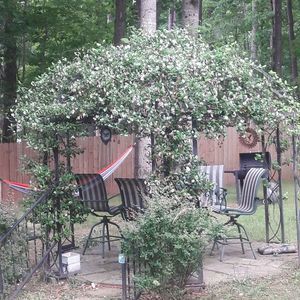 Meet your Posher, Michele