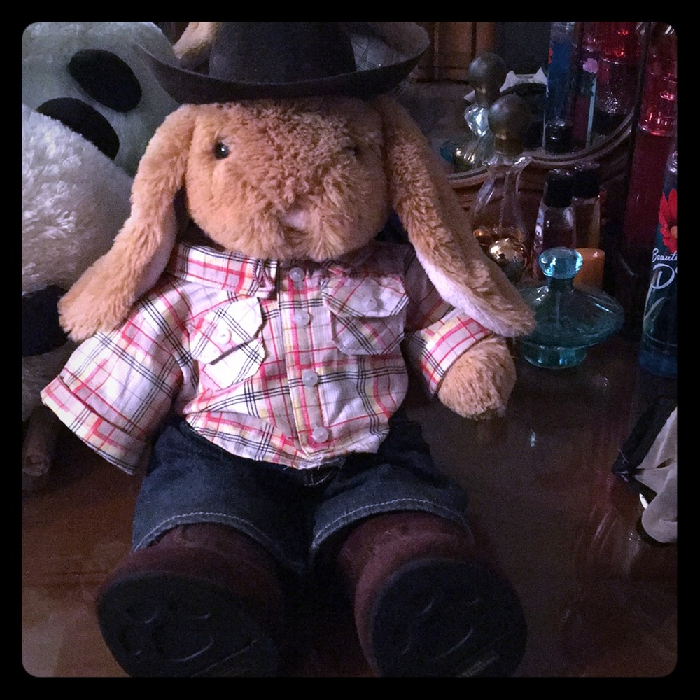 Cow boy bunny build a bear