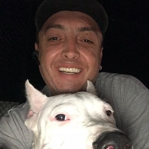 Meet your Posher, Dragos