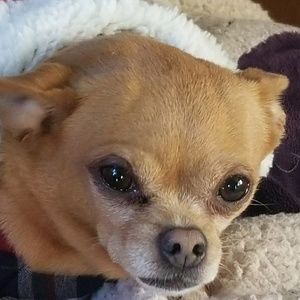 Meet your Posher, Linda