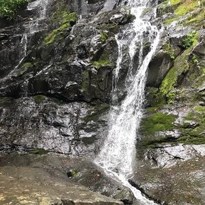 Meet your Posher, Meagan