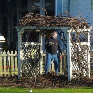 Meet your Posher, Dennis