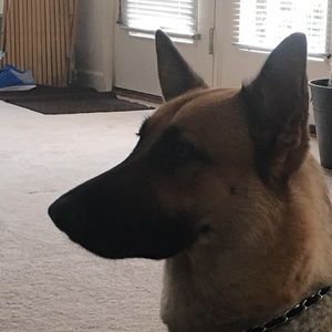 Meet your Posher, Mike