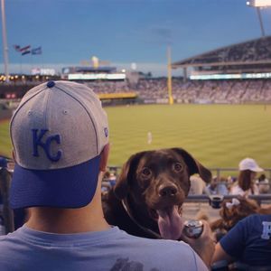 Meet your Posher, Kevin