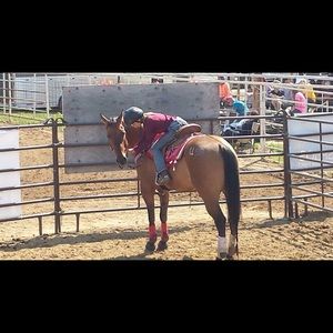 Meet your Posher, Ellie