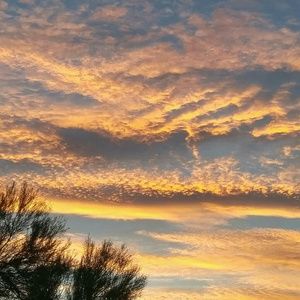 Meet your Posher, Gerald