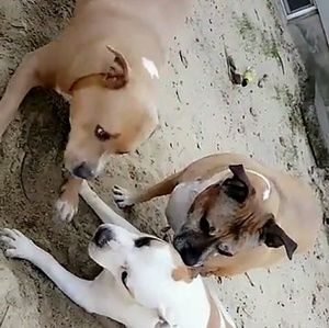 Meet your Posher, Cheryl