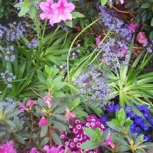 Meet your Posher, Edlime