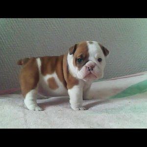 Meet your Posher, Sonia