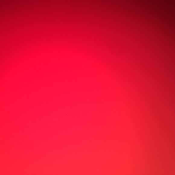 Meet your Posher, Pedro - Picture 1 of 1