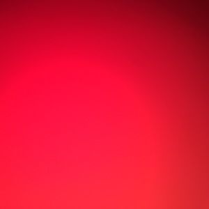 Meet your Posher, Pedro