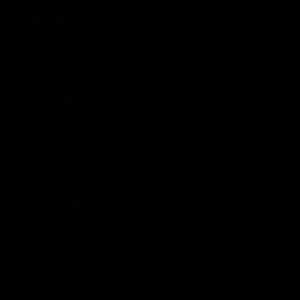 Meet your Posher, Maya