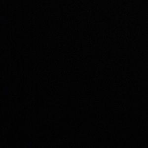 Meet your Posher, Bobby