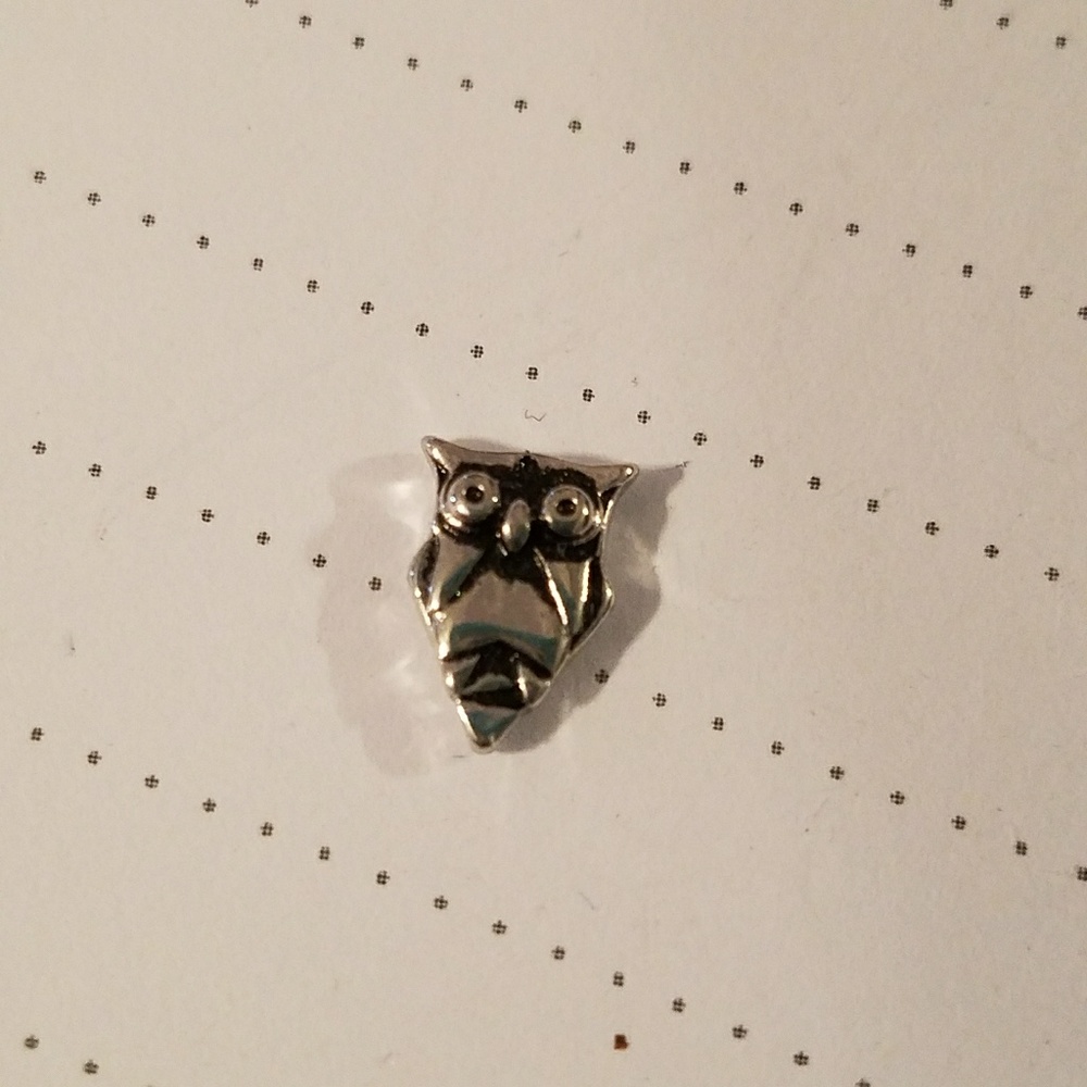Origami Owl Olive Charm Retired