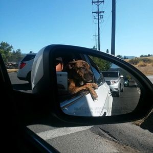 Meet your Posher, Isao