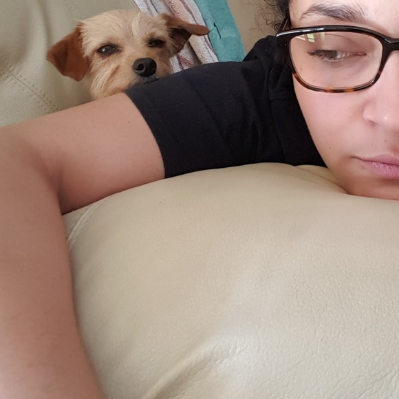 Meet your Posher, Michelle & Twinkie the Pup - Picture 6 of 8