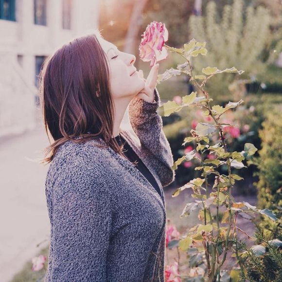 Meet your Posher, Sydney - Picture 1 of 1