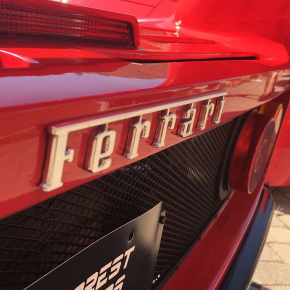 Meet your Posher, Sam - Picture 1 of 1