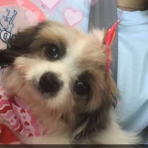 Meet your Posher, Kaylee