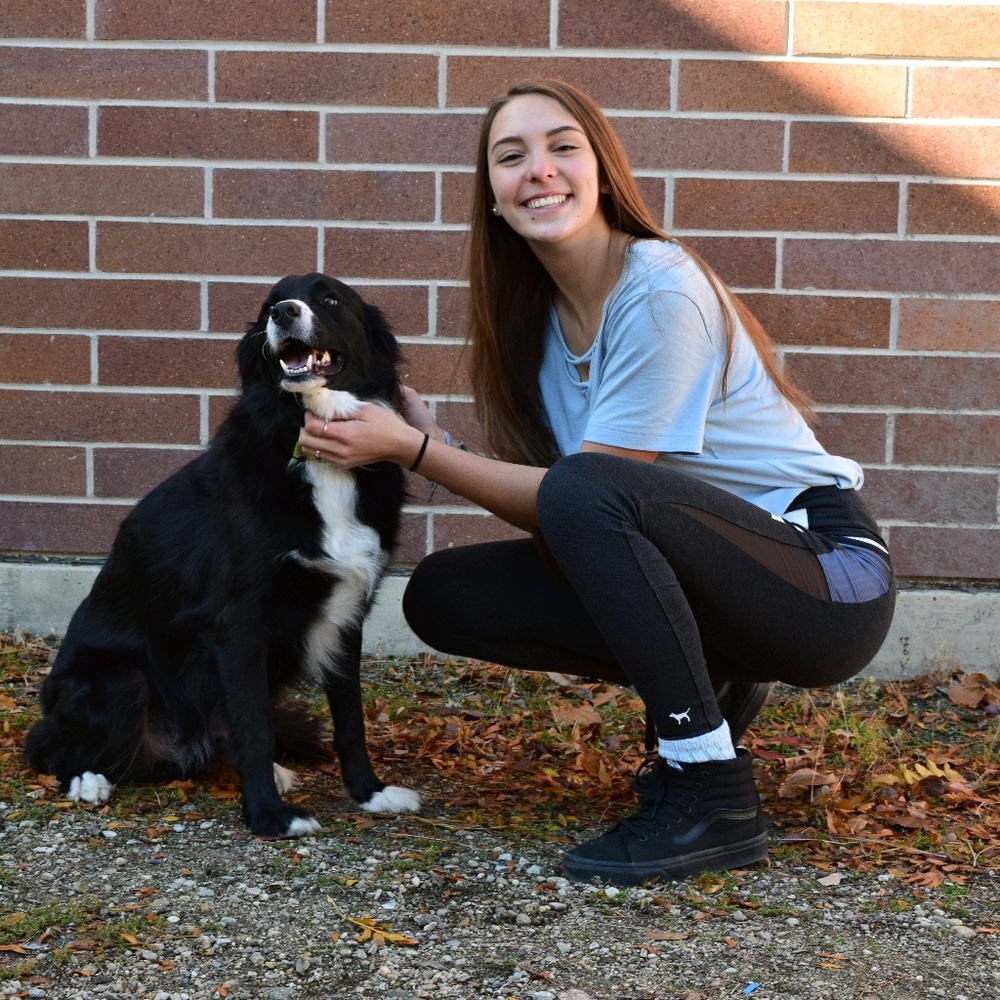 Meet your Posher, Natalie - Picture 1 of 1