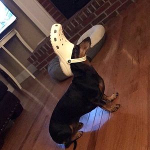 Meet your Posher, Giulio