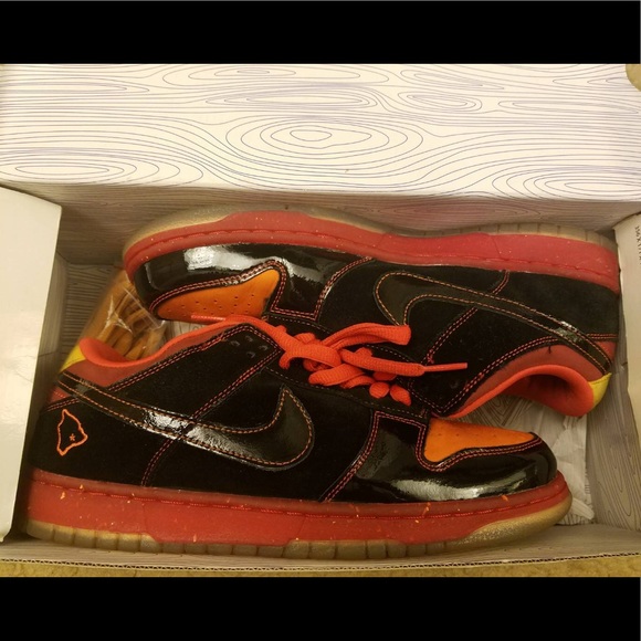 Nike Other - Nike Dunk SB Hawaii 9.5