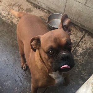 Meet your Posher, Miguel