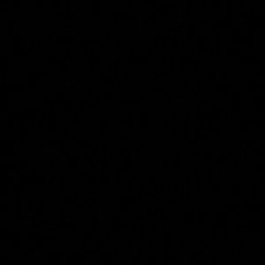 Meet your Posher, Louis