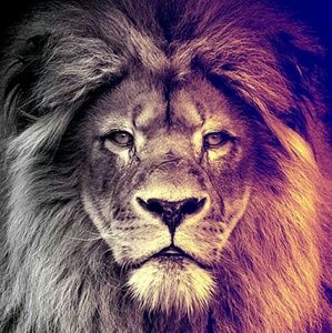 Meet your Posher, Emanuel