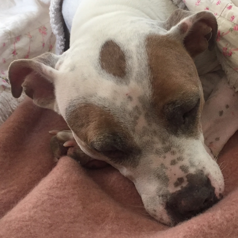 Meet your Posher, Elizabeth