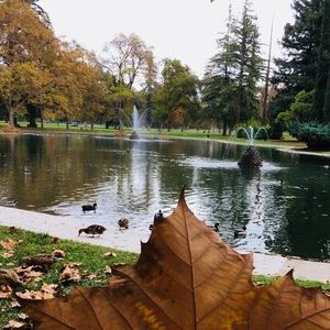 Meet your Posher, Tsun-ching