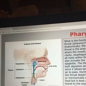 Meet your Posher, Karesa