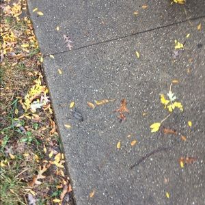 Meet your Posher, Jose