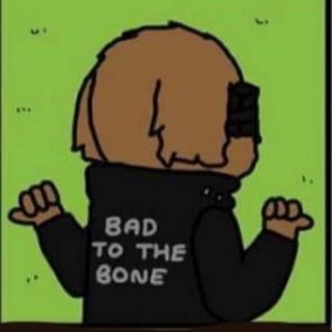 Meet your Posher, Tabitha