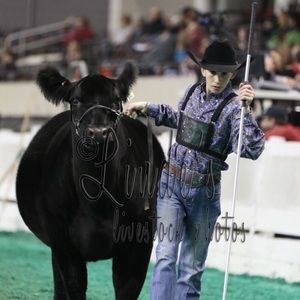 Meet your Posher, Seth