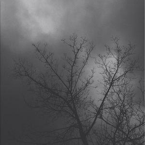 Meet your Posher, Saltanat