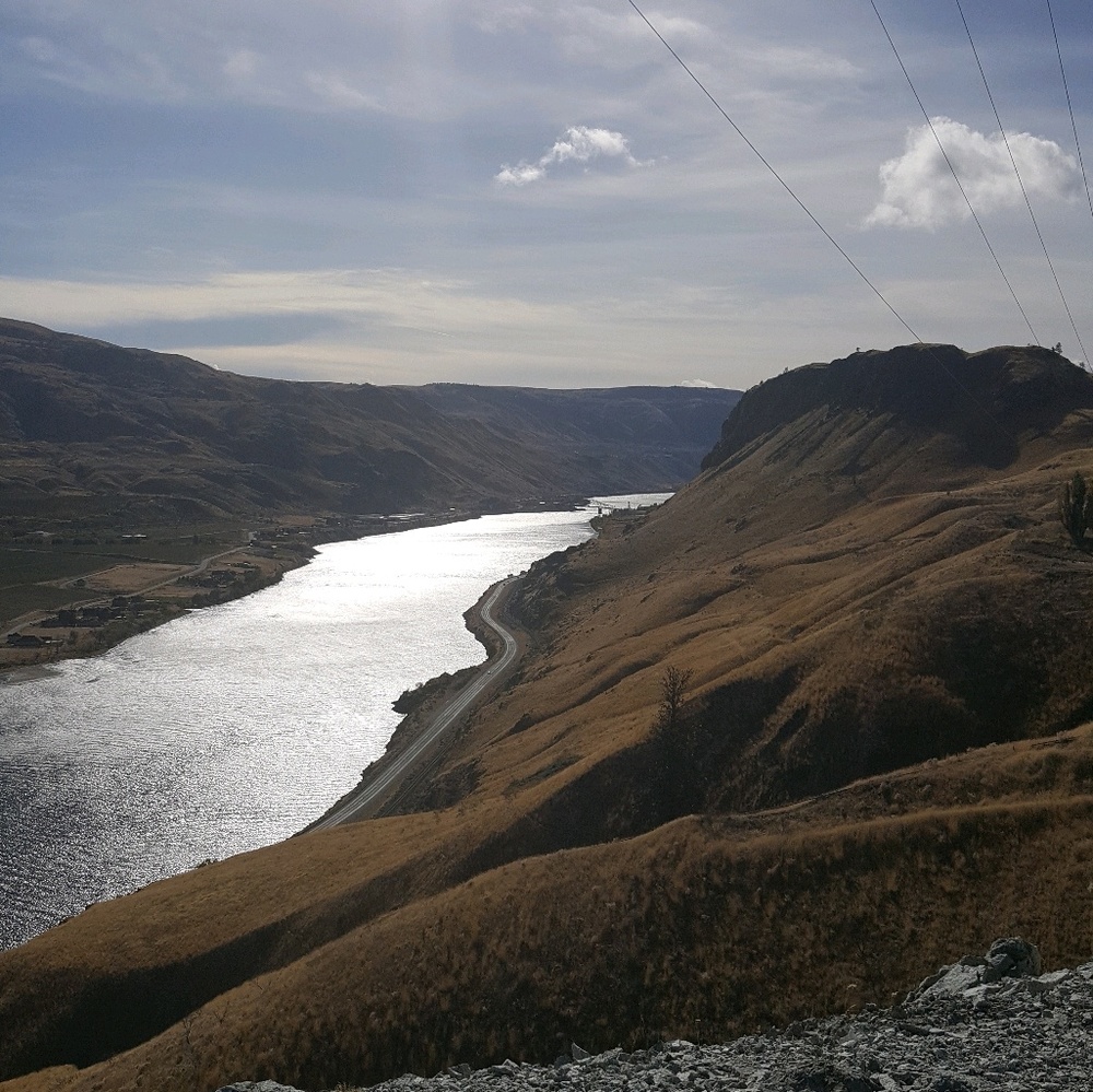 Meet your Posher, Lonnie