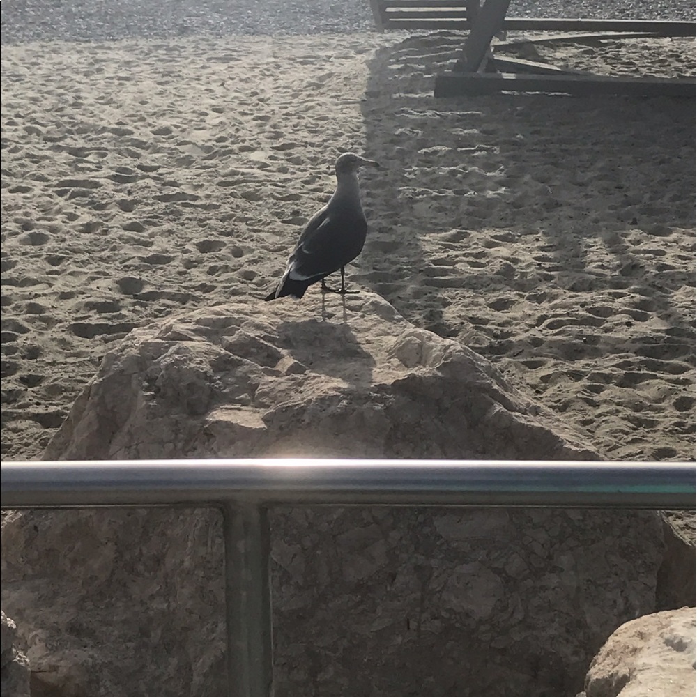 Meet your Posher, Ss