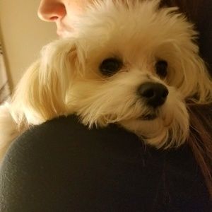 Meet your Posher, Kiara